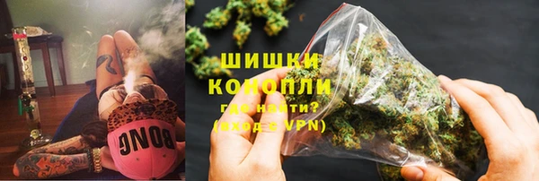 крисы Мегион