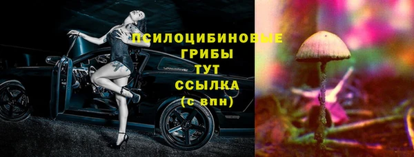 крисы Мегион