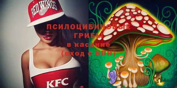 крисы Мегион