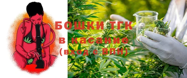 крисы Мегион