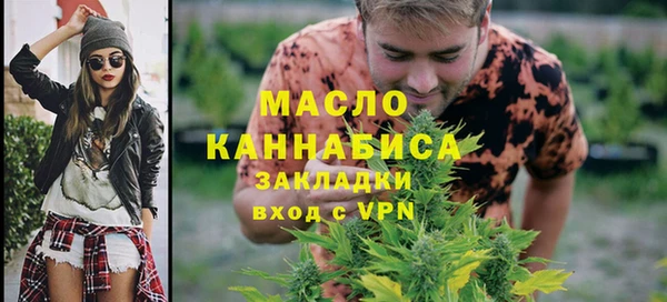 крисы Мегион