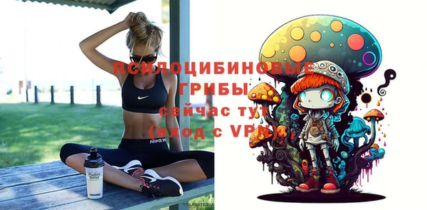a pvp Долгопрудный
