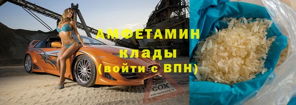 крисы Мегион