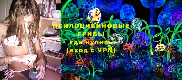 гашик Богородицк
