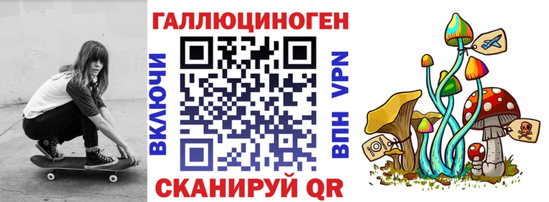 Галлюциногенные грибы прущие грибы  Мариинский Посад 
